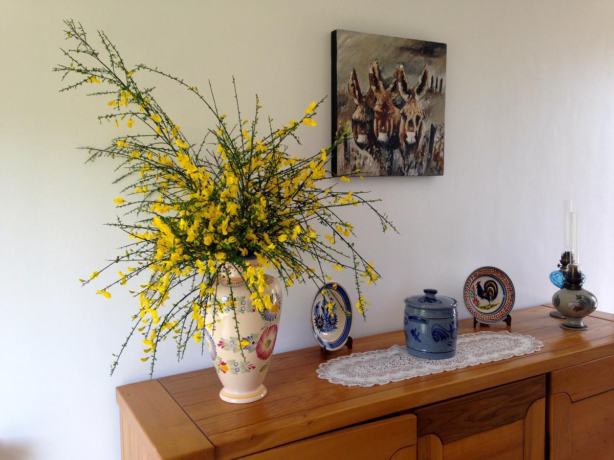Melgven B&B La Grange Du Minuellou מראה חיצוני תמונה